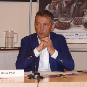 Pasi Pasi