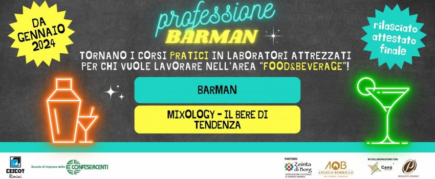 PROFESSIONE BARMAN!