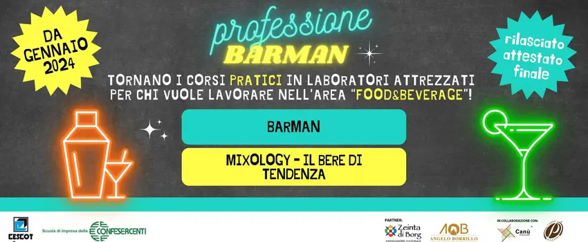 PROFESSIONE BARMAN! PROFESSIONE BARMAN!