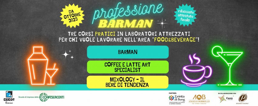 PROFESSIONE BARMAN!