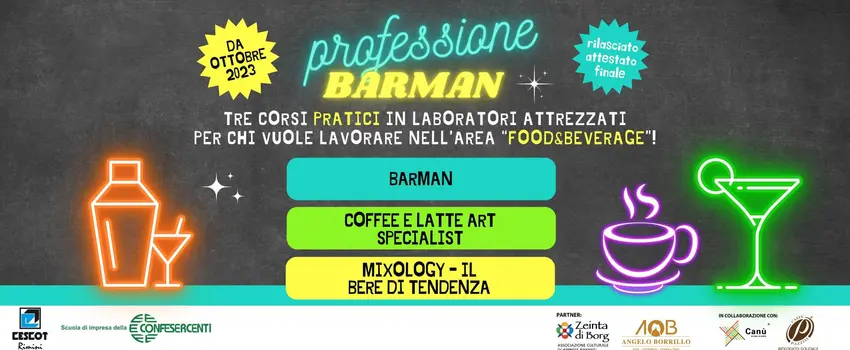 PROFESSIONE BARMAN! PROFESSIONE BARMAN!