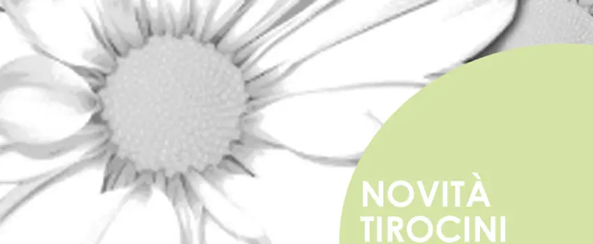 NOVITA' SUI TIROCINI NOVITA' SUI TIROCINI